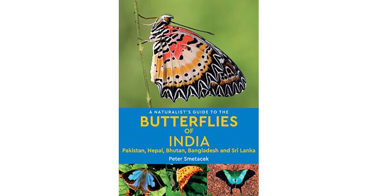 A Naturalist's Guide to the Butterflies of India