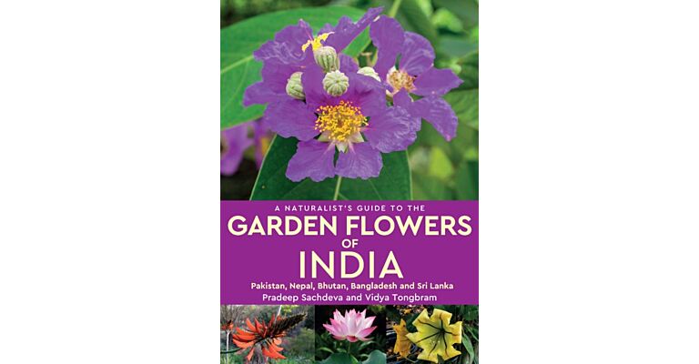 A Naturalist’s Guide to the Garden Flowers of India
