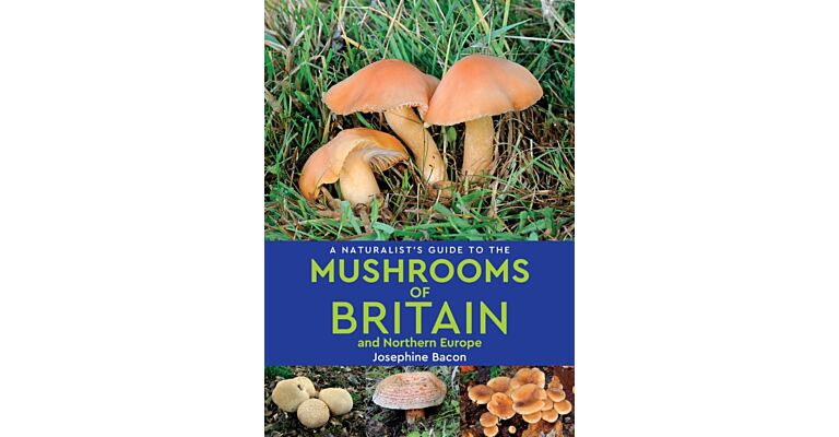 A Naturalist’s Guide to the Mushrooms & other Fungi of Britain & Northern Europe