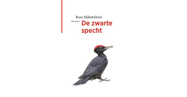 De zwarte specht