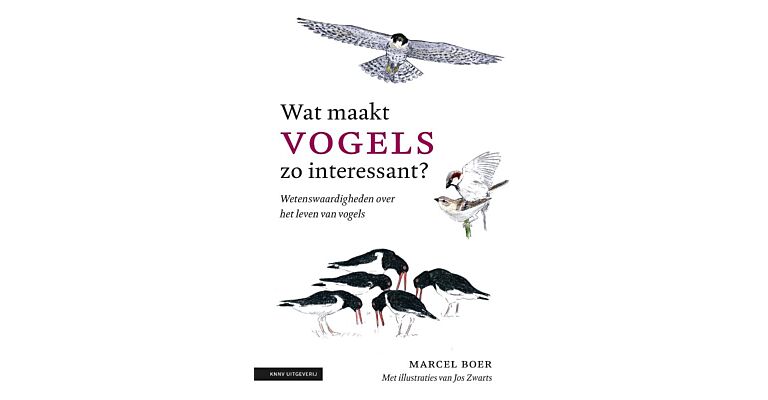 Wat maakt vogels zo interessant - Wetenswaardigheden over het leven van vogels