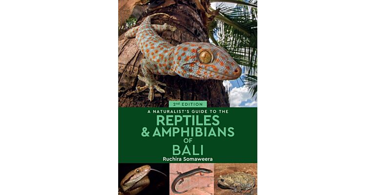 A Naturalist's Guide to the Reptiles & Amphibians of Bali