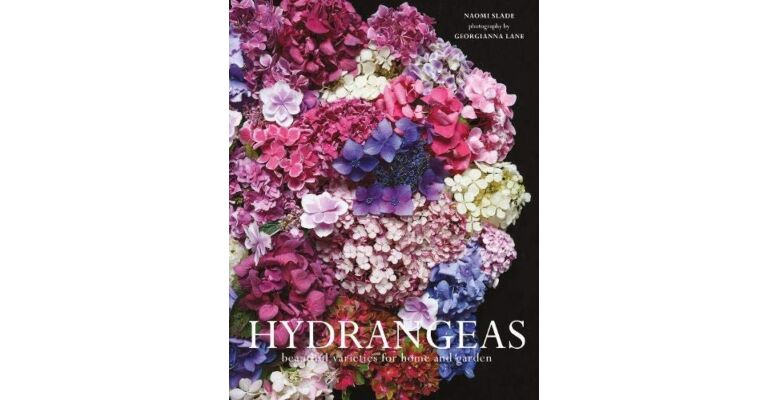 Beautiful Hydrangeas