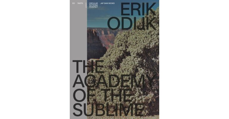 Erik Odijk - The Academy of the Sublime