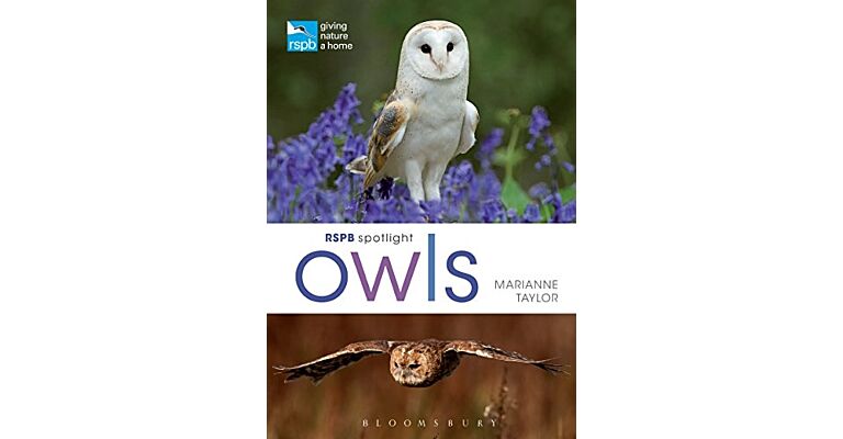 RSPB Spotlight Owls