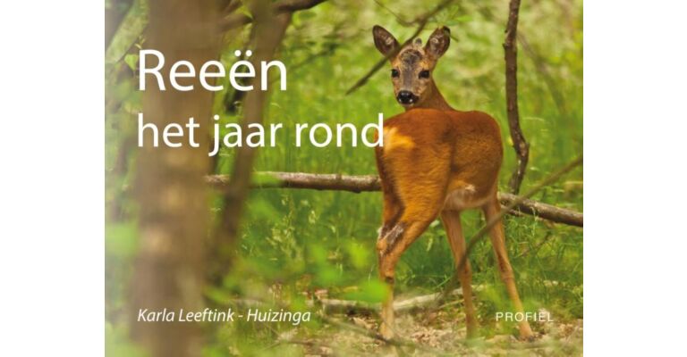 Reeën het jaar rond