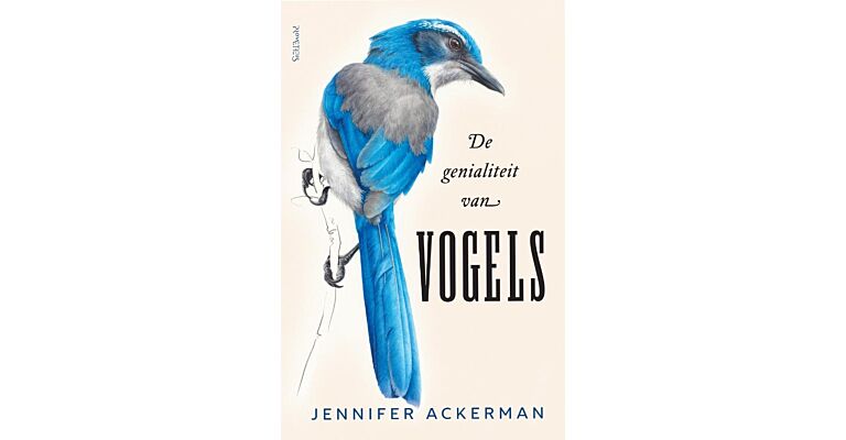 De genialiteit van vogels (PBK)