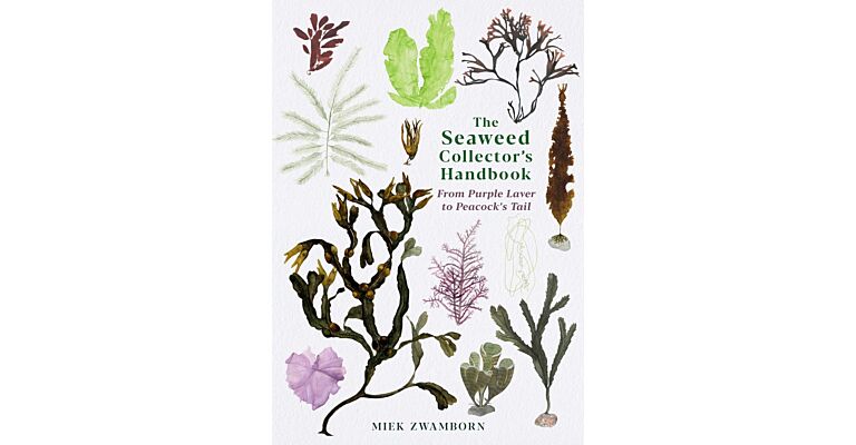 The Seaweed Collector's Handbook - From Purple Laver to Peacock’s Tail