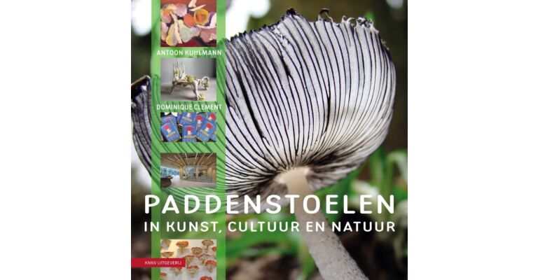 Paddenstoelen in kunst, cultuur en natuur