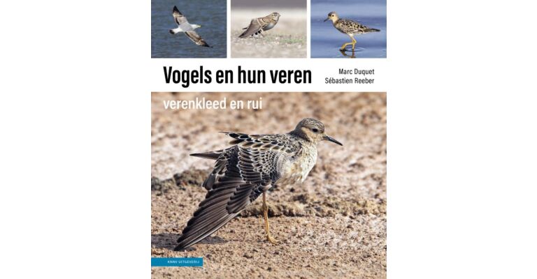 Vogels en hun veren - Verenkleed en rui