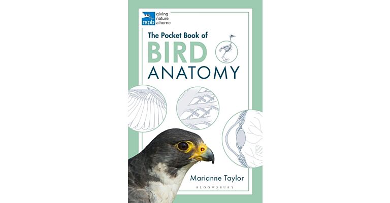 The Pocket Book of Bird Anatomy