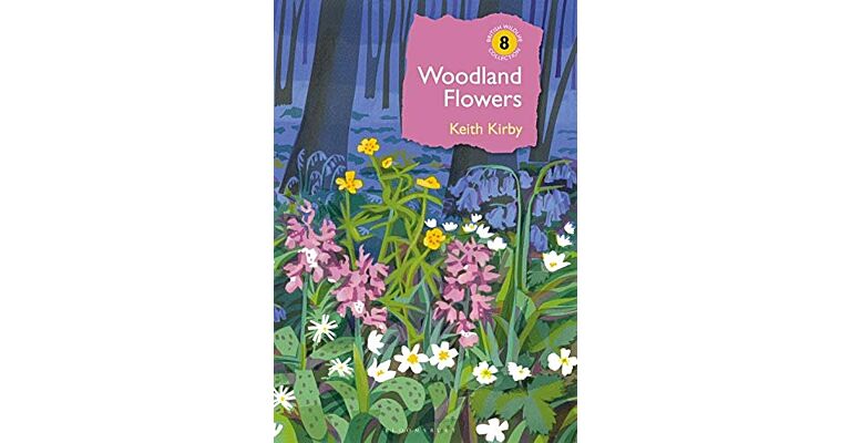 Woodland Flowers