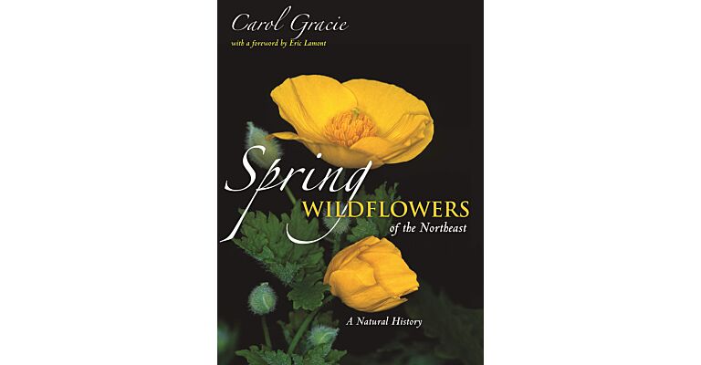Spring Wildflowers of the Northeast : A Natural History