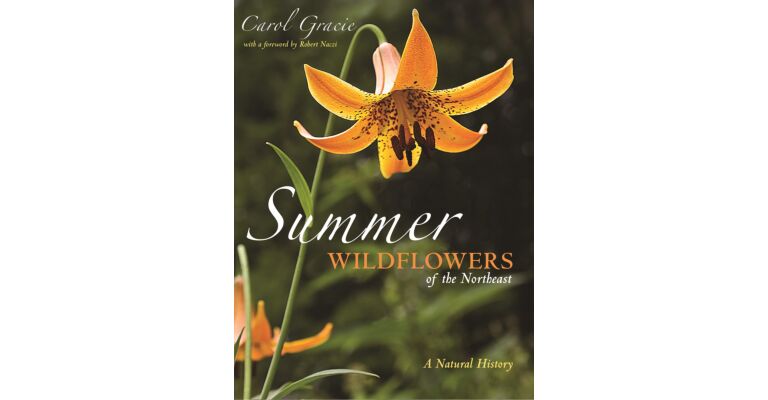 Summer Wildflowers of the Northeast : A Natural History