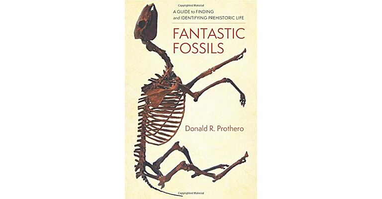 Fantastic Fossils : A Guide to Finding and Identifying Prehistoric Life