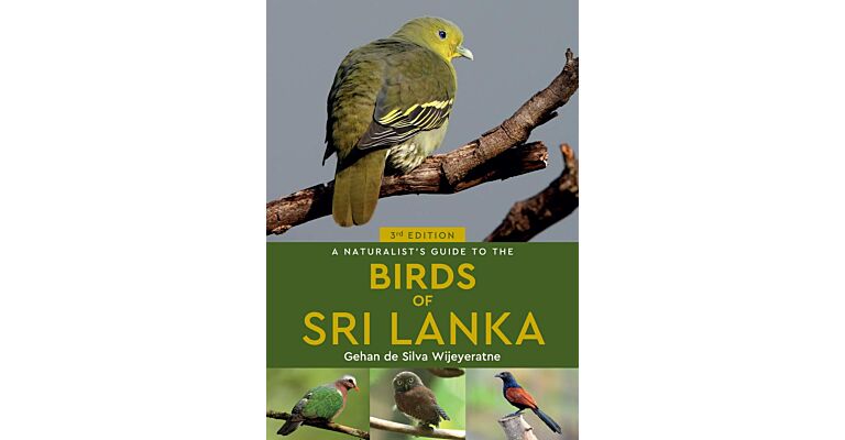 A Naturalist's Guide to the Birds of Sri lanka (Third Edition)