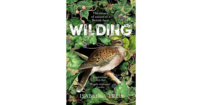 Wilding : The Return of Nature to a British Farm  (Paperback)