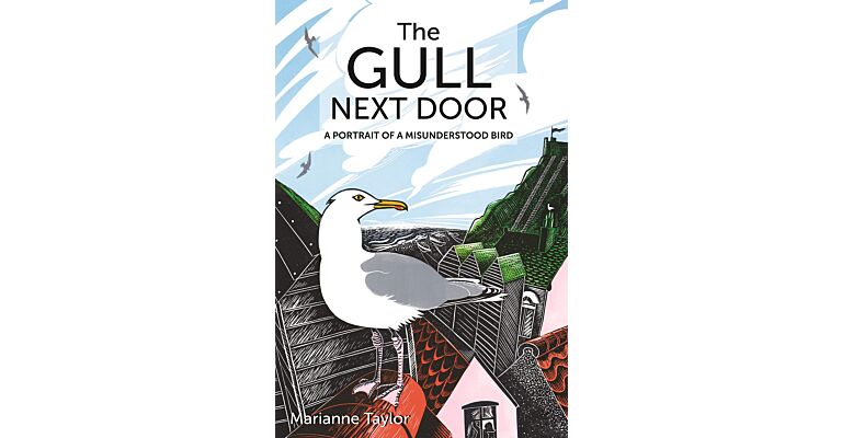 Gull Next Door - A Portrait of a Misunderstood Bird