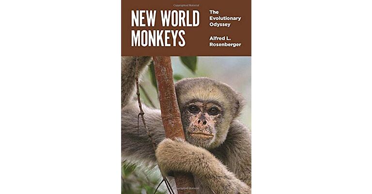 New World Monkeys - The Evolutionary Odyssey