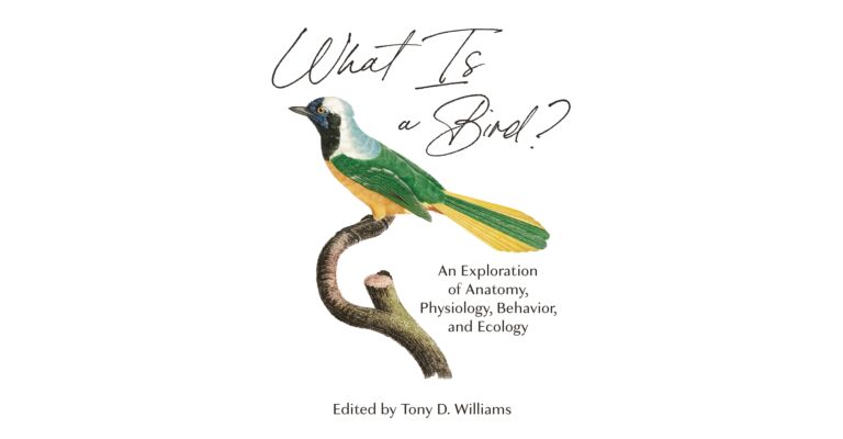 What is a Bird? - An Exploration of Anatomy, Physiology, Behavior, and Ecology