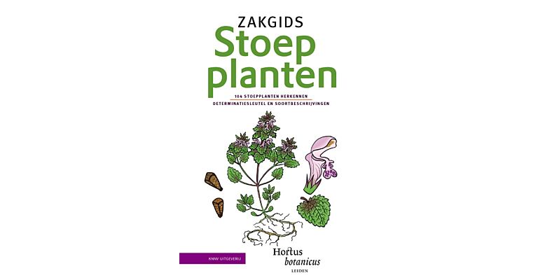 Zakgids stoepplanten - 104 stoepplanten herkennen: determinatiesleutel en soortbeschrijvingen