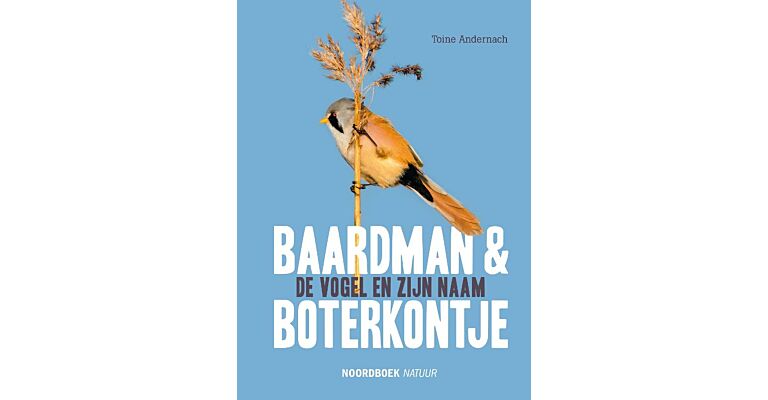 Baardman en boterkontje - Vogels en hun naam