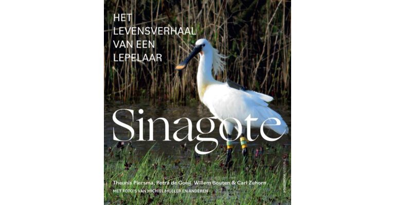 Sinagote - Het levensverhaal van een lepelaar