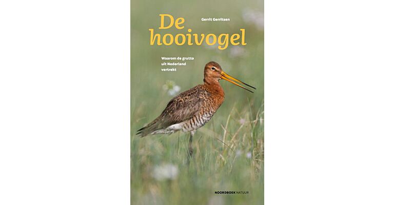 De hooivogel - Waarom de Grutto uit Nederland vertrekt