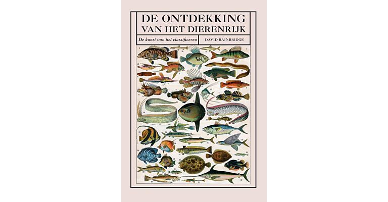 De ontdekking van het dierenrijk - De kunst van het classificeren