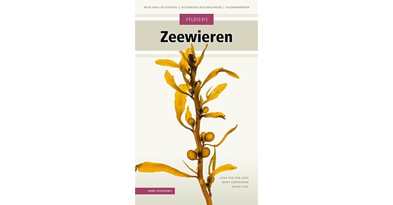 Veldgids Zeewieren - Meer dan 130 soorten  (Pre-order September 2025)