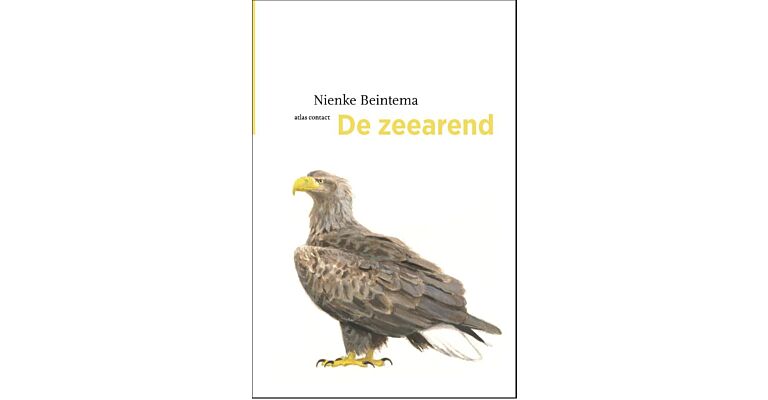 De Zeearend