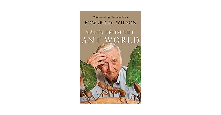 Tales from the Ant World (Hardcover)