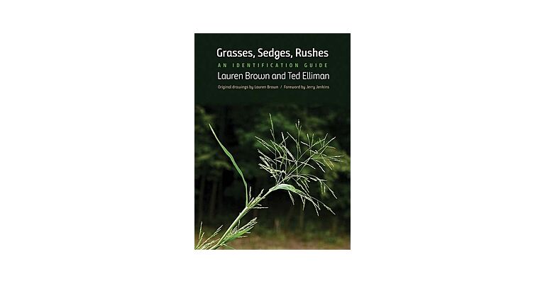 Grasses, Sedges, and Rushes - An Identification Guide (USA)