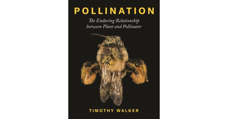 Pollination - The Enduring Relationship between Plant and Pollinator