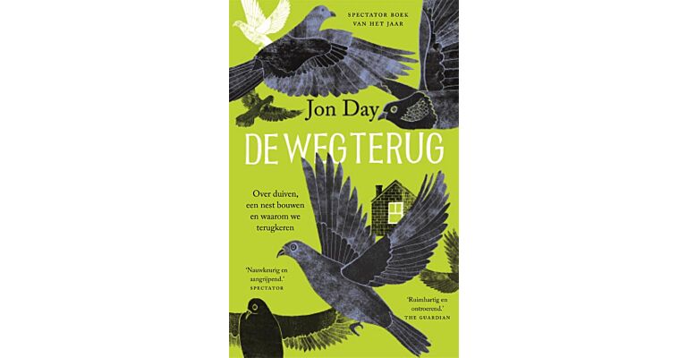 De weg terug - Over duiven, een nest bouwen en waarom we terugkeren (Zomer 2021)