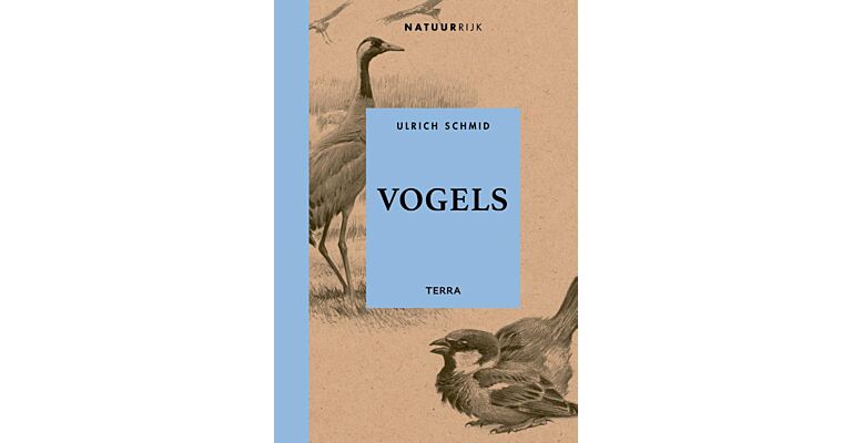 Vogels (Zomer 2021)