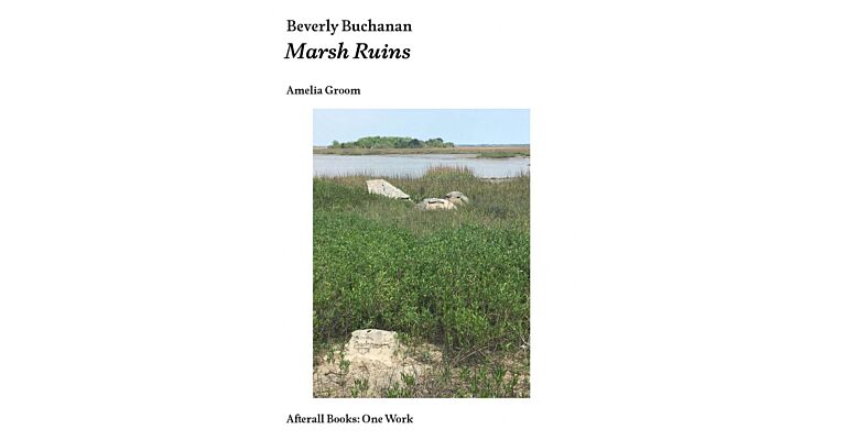 Beverly Buchanan - Marsh Ruins