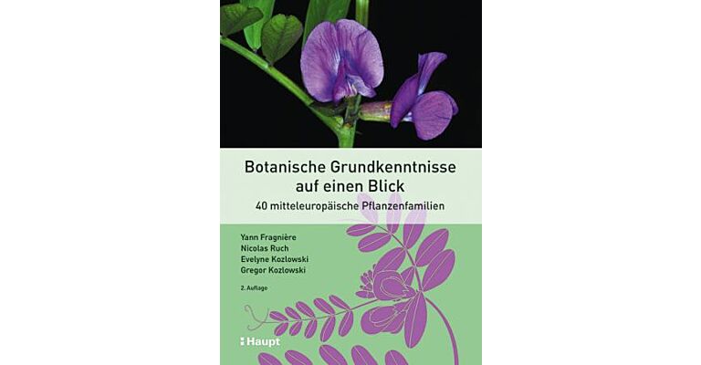 Botanische Grundkenntnisse auf einen Blick - 40 mitteleuropäische Pflanzenfamilien