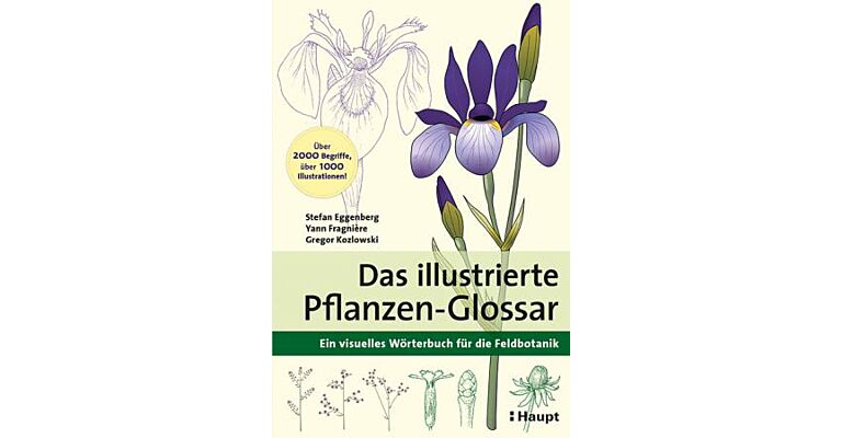 Das illustrierte Pflanzen-Glossar - Ein visuelles Wörterbuch für die Feldbotanik