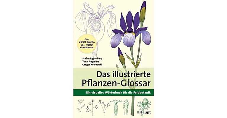 Das illustrierte Pflanzen-Glossar - Ein visuelles Wörterbuch für die Feldbotanik