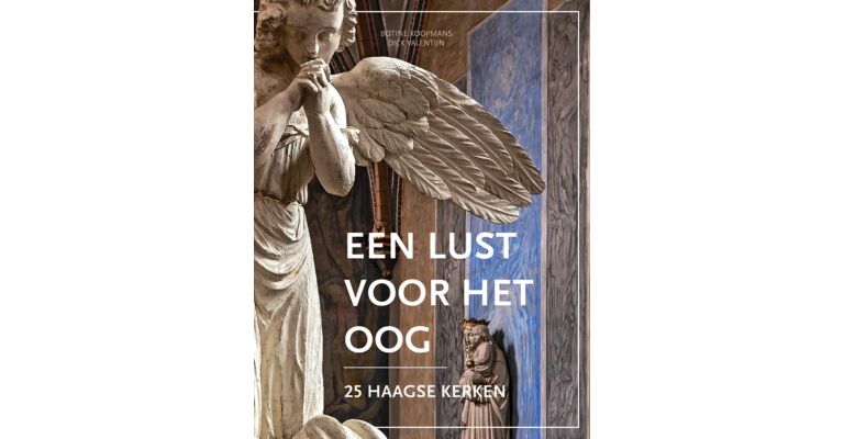 Een lust voor het oog - 25 Haagse kerken