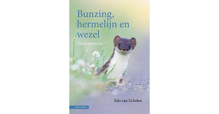 Bunzing, hermelijn en wezel - Kleine roofdieren (September 2021)