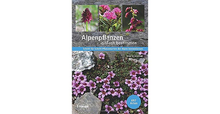 Alpenpflanzen einfach bestimmen: Schritt für Schritt Pflanzenarten der Alpen kennenlernen