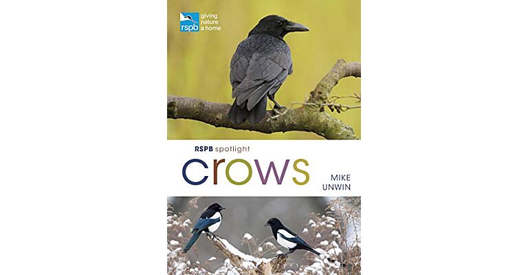 RSPB Spotlight - Crows