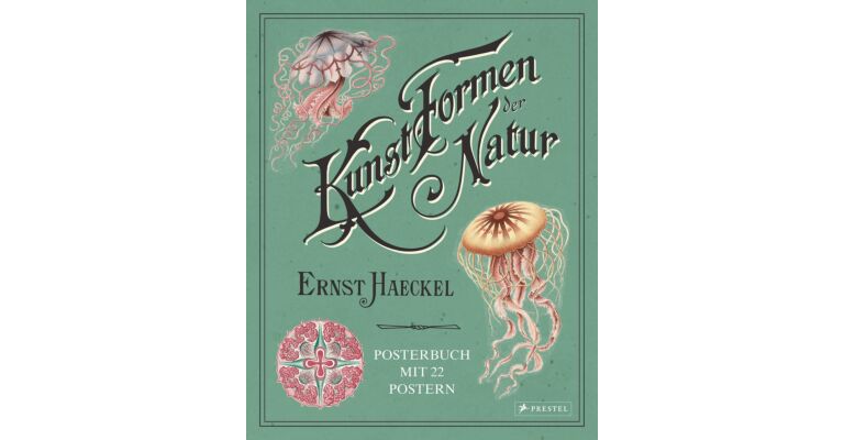 Ernst Haeckel - Kunstformen der Natur (Posterbuch mit 22 Postern)