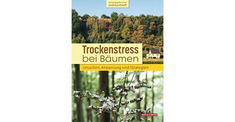 Trockenstress bei Bäumen : Ursachen • Strategien • Praxis