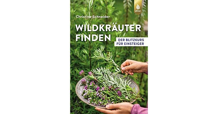 Wildkräuter finden - Der Blitzkurs für Einsteiger