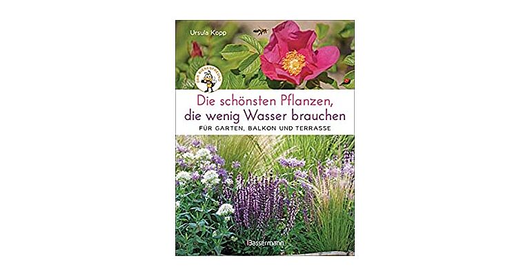 Die schönsten Pflanzen, die wenig Wasser brauchen für Garten, Balkon und Terrasse