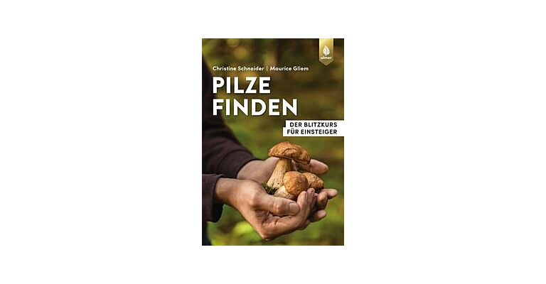 Pilze Finden - Der Blitzkurs für Einsteiger