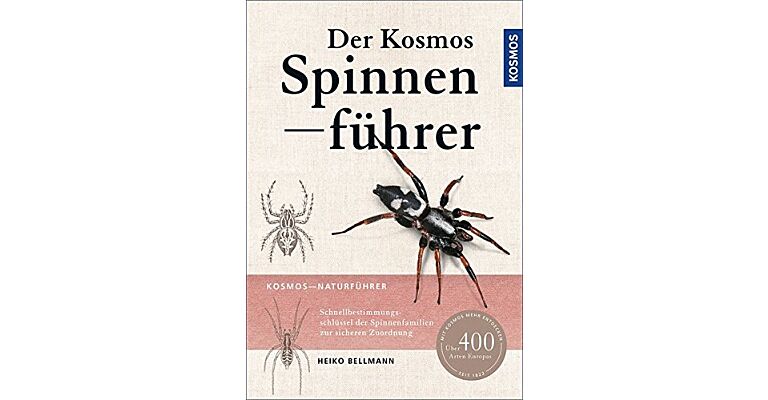 Der Kosmos Spinnenführer